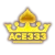 ACE333
